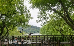 녹음이 우거진 선암호수공원