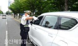 울산, 우회전·스쿨존 횡단보도 일시정지 의무화 첫날