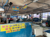 노후화에… 주전활어회직판장 운영난