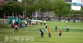 울산 태화강변 파크골프 삼매경