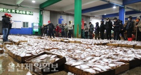 겨울별미 풍년… 어판장 활기