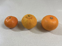 까봐야  /  박해경