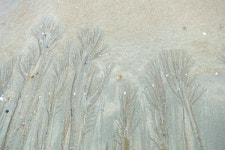 [디카+詩] 드로잉  /  유은경