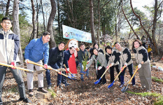 울산 중구, 입화산 자연휴양림 편백나무 1천그루 심어