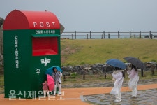 봄비의 소망~