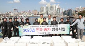 울산 동구, 전복종자매입 방류사업