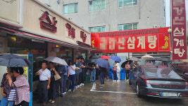 복날 특수 삼계탕집 웃고 보신탕집 울고