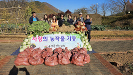 울산들꽃학습원 김장용 배추 나눔