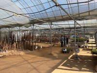 울산시산림조합 나무전시판매장 4월 14일까지 운영