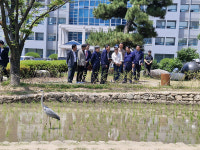 울산시청 논에 나타난 왜가리… 친환경 생태복원 상징
