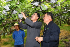 울주군수 배과수원 일손돕기