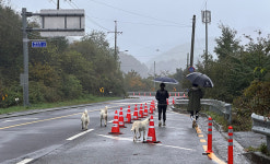 郡, 간월재 등산로 점령한 들개떼에 비상
