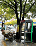 공중전화 부스 시대흐름에 맞춰 바꿔가야