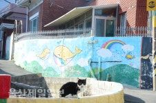 [특집]산·들·바다 한번에 즐기는 강동사랑길로 떠나볼까
