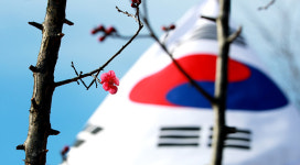 울산시청 홍매화