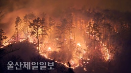 681ha 피해 울산 역사상 최대규모 산불