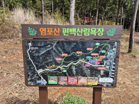 완공 후 두달 염포산 편백 산림욕장 다녀와 보니…
