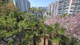 [특집] 2028 울산국제정원박람회 성공 개최 기원, 이번 주말은 민간정원 어때요?