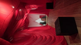 [금보성 칼럼] 정창이, 불타버린 나무 - 다시 예술로 숨 쉬다