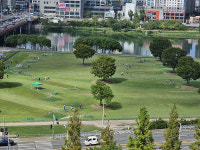 파크골프 치기 좋은 날