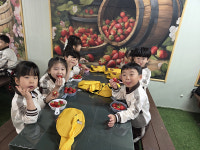 연암초병설유치원, 딸기 수확체험