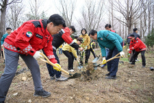 북구, 식목일 기념 효문동 완충녹지에 나무 500그루 심어