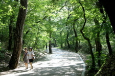 5월 걷기여행길에 보은군 오리숲길·세조길 선정