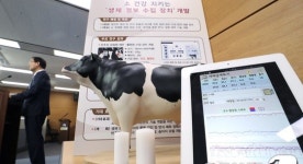 소의 건강 상태, 센서로 확인 가능