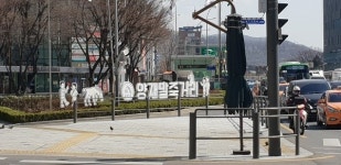 [포토 스케치]양재역(서초구청)주변 모습(3)