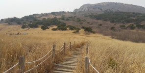 89번째 산행 재약산