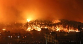 고성 산불, 화재현장 흡사 전쟁터와 같아…단일화재론 역사상 가장 큰 규모