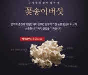 (주)농업회사법인 아미코팜 꽃송이버섯의 대량생산화 기술개발을 성공
