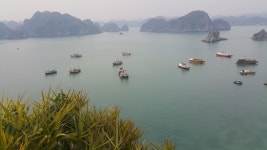 [FN칼럼] 회복 탄력성을 가져보자