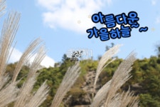 안산시 관산도서관 고령이용자대상 스마트폰활용교육 실시