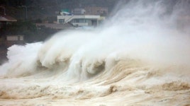 부산, 태풍 길목 벌써 거센 바람…15시 강풍주의보 발효