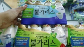 식약처, 남양유업 불가리스 식품표시광고법 위반...고발 조치 