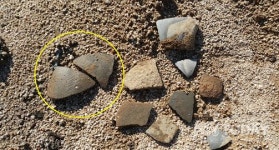 시민단체 "문화재청 최응천 청장 사퇴 촉구"