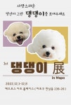 반려동물 기획전시 댕댕이展 in Mapo 전시 참여 작가 모집에 눈길