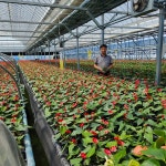 화훼농가를 위해, 장애인 근로자를 위해 끊임없지 전진하는 그리니쉬 권영석 대표