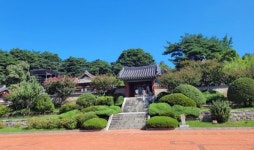 오죽헌·시립박물관, 추석맞이 민속놀이 개최