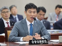금융감독원장 다주택자 규제완화 검토하되 신중해야