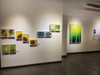 진주 울트라블루 갤러리 카페에서 열리는 염선행 작가의 My Flowers 초대전