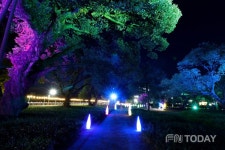 성주군 성밖숲, 한국 대표 야간관광 콘텐츠 대한민국 밤밤곡곡 100 최종 선정