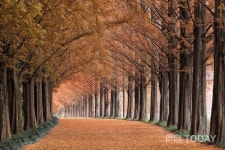 담양군 풍성한 관광 콘텐츠 개발…민선 8기 내륙 관광 일번지 도약 박차