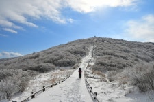 지리산 노고단 대설특보, 결빙 된 위험 도로 무방비 차량진입 우왕좌왕 구례군 제설 작업