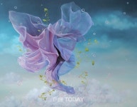 조로사 화가의 진부령미술관 초대전, 바람의 초대 개장