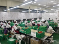 담양군, 담양 딸기, 아시아 전역 수출길 넓힌다