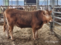 고창군, 한우농가에서 한우씨수소 선발 쾌거...민간농가에선 전국 최초