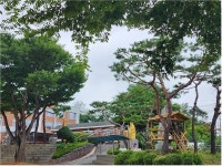 김포시 통진읍 서암초등학교, 국민안전원 초청 학생들의 안전 위한 교직원심폐소생술 교육 성황리에 마무리