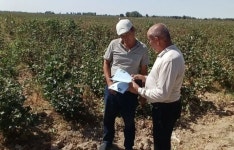 면화 수확 근로자, 주 근로감독과에 문의하세요!